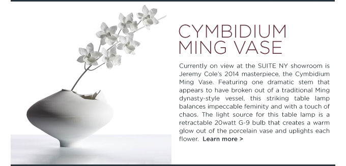 Cymbidium Ming Vase, Jeremy Cole, table lamp, porcelain orchid
